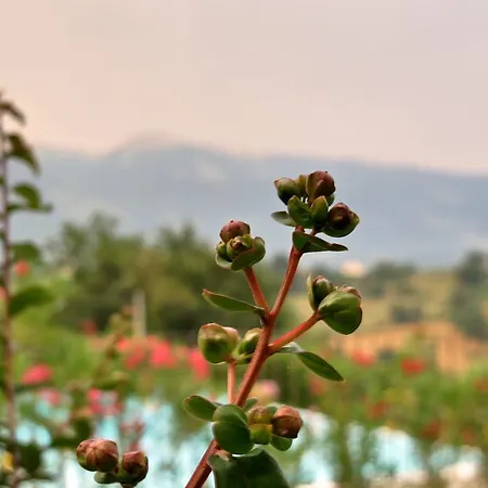 Relais Chalons D'orange