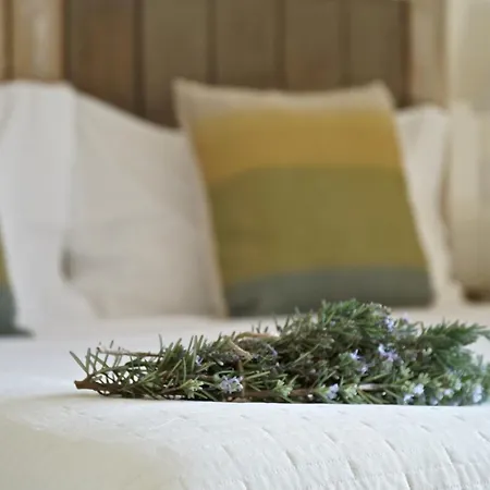 Hotel Relais Chalons D'orange