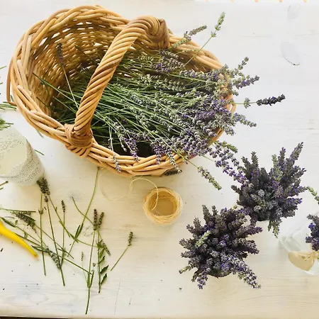 Relais Chalons D'orange Hotel Alvito